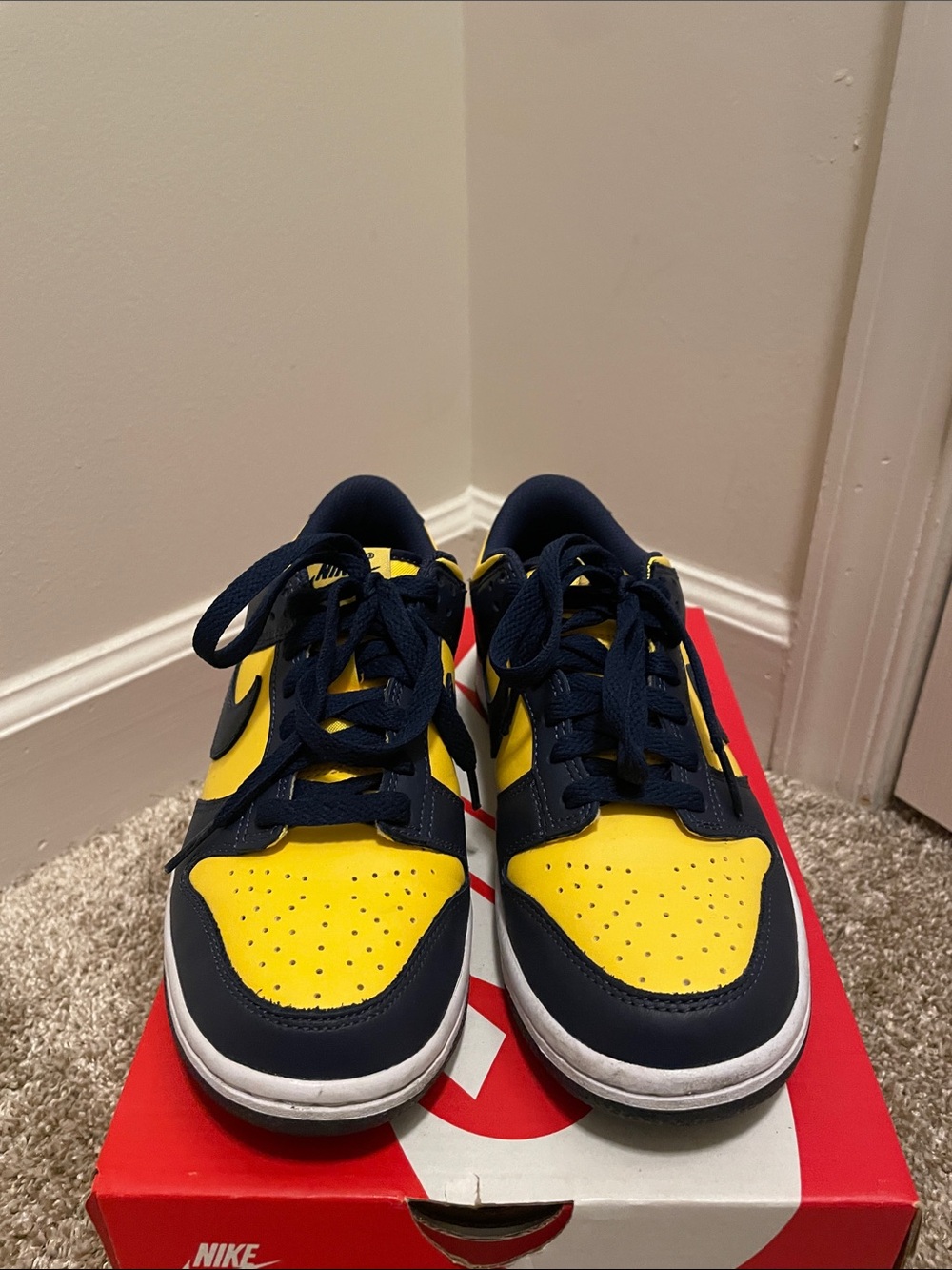 Nike Dunk Low Sneakers